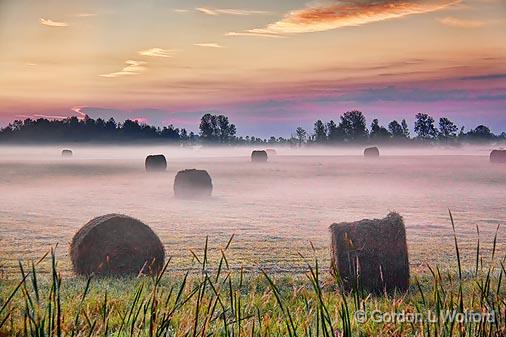 Bales In Misty Field At Sunrise_25822.jpg - Photographed near Smiths Falls, Ontario, Canada.